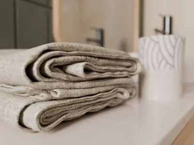 Green Bathroom 3D model