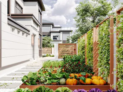 courtyard interior scenes  3D model