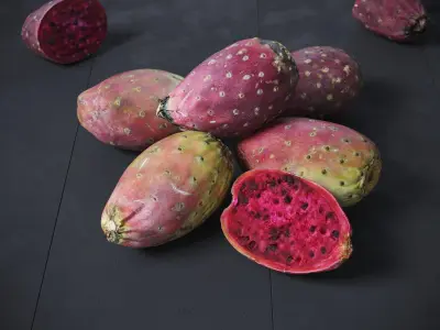 Prickly Pear - Cactus Fruit 8 Models
