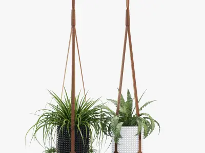 Corium Plant Hanger 3D model