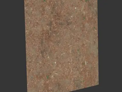 Ground with sawdust 3D model