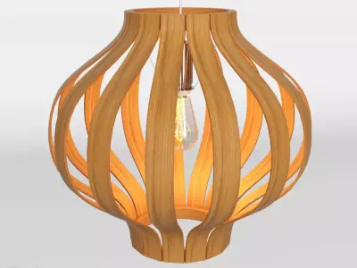 Bentwood Onion Pendant by West Elm  3D model