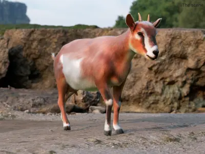  Dairy Goat Fur Rigged for Blender 