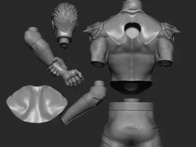 The Homelander  3D print model