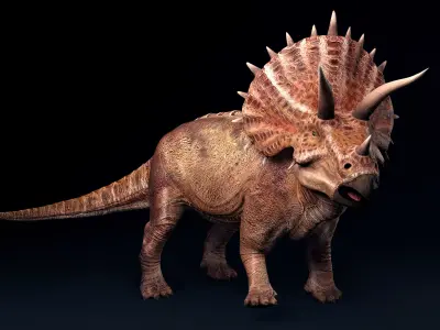 Triceratops dinosaur Low-poly 3D model