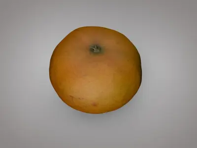 Mandarina 3D modelo Real grande Low-poly 3D model