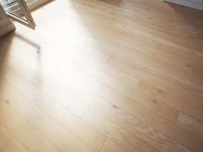 Floor WITHOUT PLUGINS 3D model