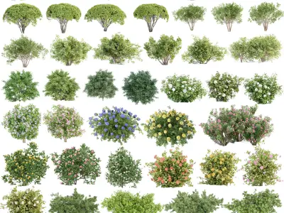 60 Bush models collection vol 10 3D Model 3D Model Pack