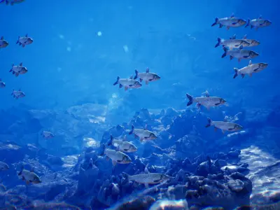 Ocean Floor Pack  High Quality Environment Low-poly 3D model