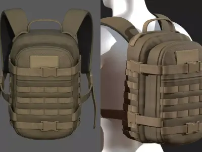 Backpack Camping Generic military baggage Color  Low-poly 3D model