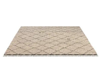 NADIM WOOL RUG 3D model