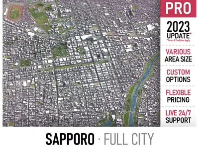 Sapporo Low-poly 3D model