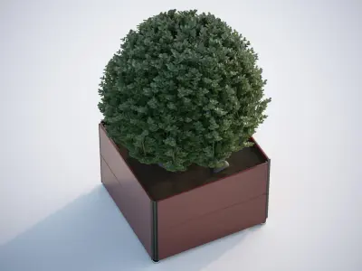 Spherical bush in a pot 3D model