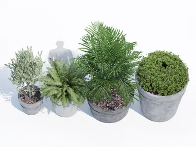 Reale planter 3D model