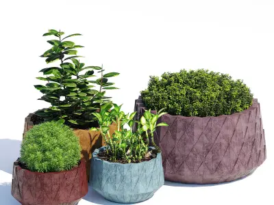 Agave Series 3D model