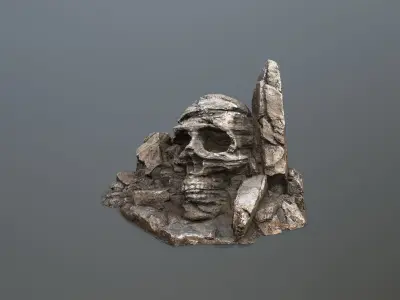 Skull Rock Low-poly 3D model 5