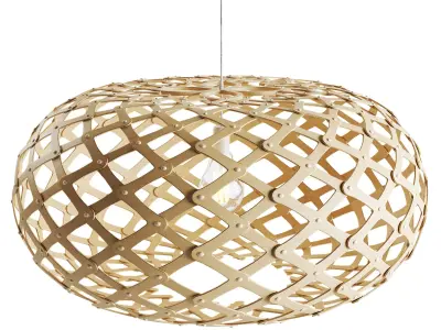 David Trubridge Kina Pendant Light 3D model