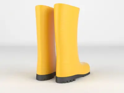 Wellington Boots 3D model