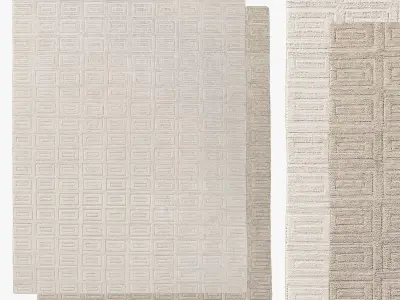 RAJOURI HAND-KNOTTED SILK WOOL RUG 3D model