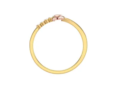 Delicate Ring - 21 3D print model