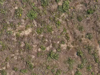 Spring soil 3D model