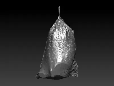 Flex Trashbag 3D scan 3D model