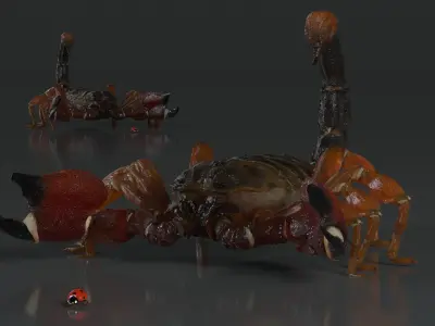  Hunting Scorpion Animated Rigged 