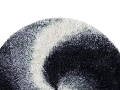 Abstract Indoor Rug 3D model