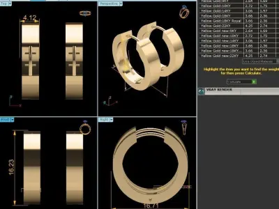 Women Earrings 3D print model