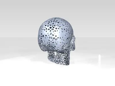 Skull Voronoi 3D model