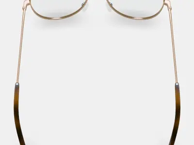 York Eyeglasses in Polished Gold 3D model