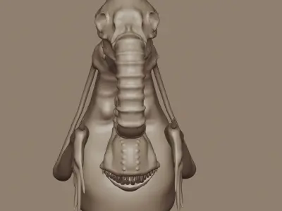 Alien3D HIGH POLY skeleton 3D model