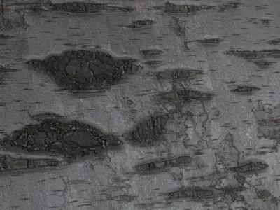 Polished Golden Oak Wood Planks PBR Seamless Texture