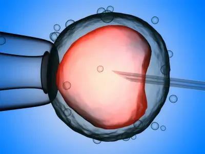 Artificial insemination in vitro fertilization fertility 3D model