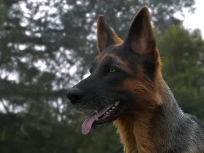  German Shepherd RIGGED 