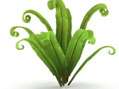 Asplenium scolopendrium 3D model