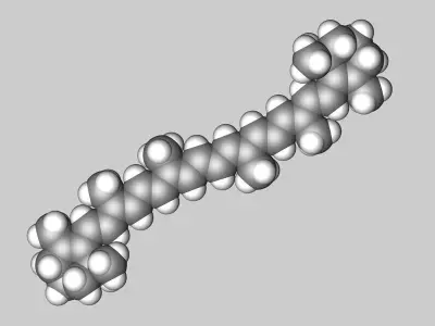 beta-Carotene molecule 3D model