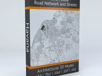 Havana Road Network and Streets 3D model