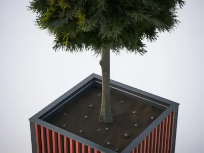 Small tree in a pot 3D model