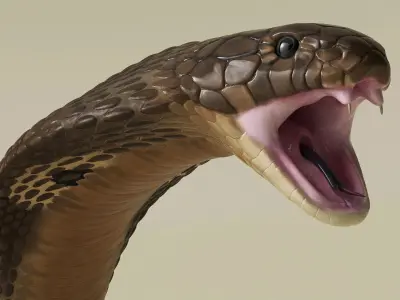  Attack Naja Cobra Animated Rigged for Cinema 4D 