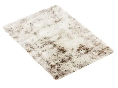 Carpet Long pile RHAPSODY 3D model