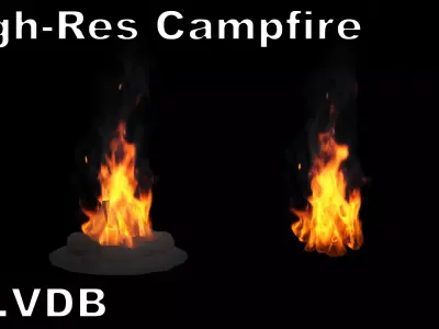 High-Resolution Campfire - VDB animated 3D model