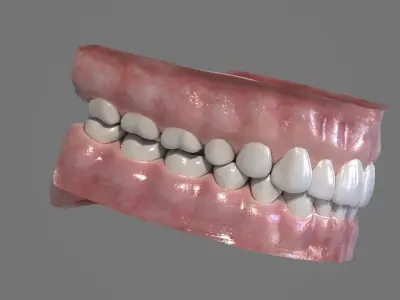  Realistic Human Mouth 