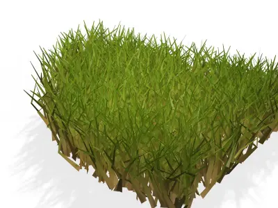 GRASS  PLANT NATURE FLOWER Free 3D print model