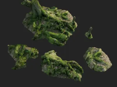 3d scanned nature forest roots 005  3D model