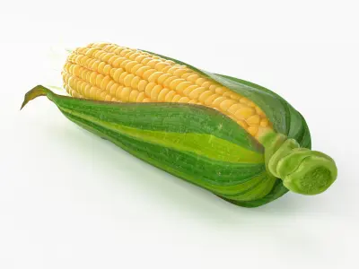  Realistic Corn 