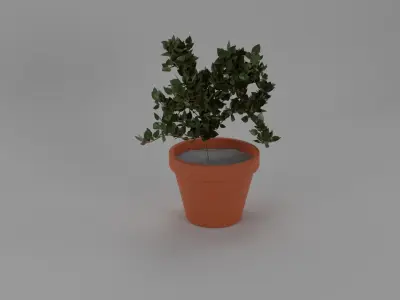 Garden Plant 3D model