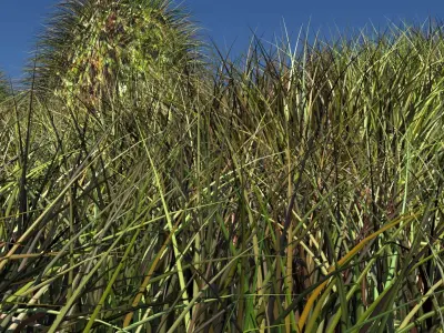 Terrain 3D model buy