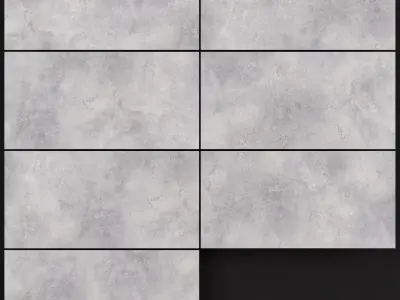 Decovita Agrega Grey 600x1200 3D model