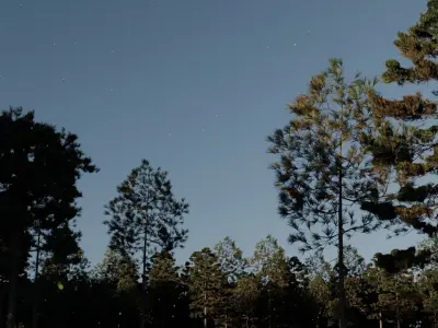 Lake in the forest 3D model